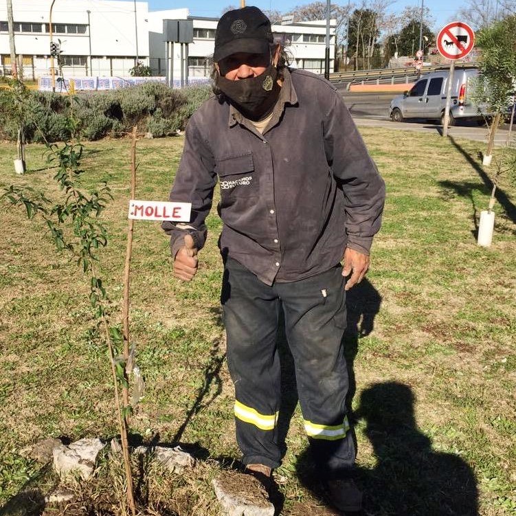 Planta y Canta4 Planta y Canta4